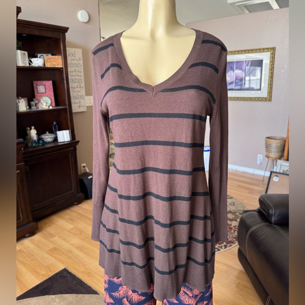 Apt 9 brown & black striped long sleeve Vneck lightweight sweater-size L
